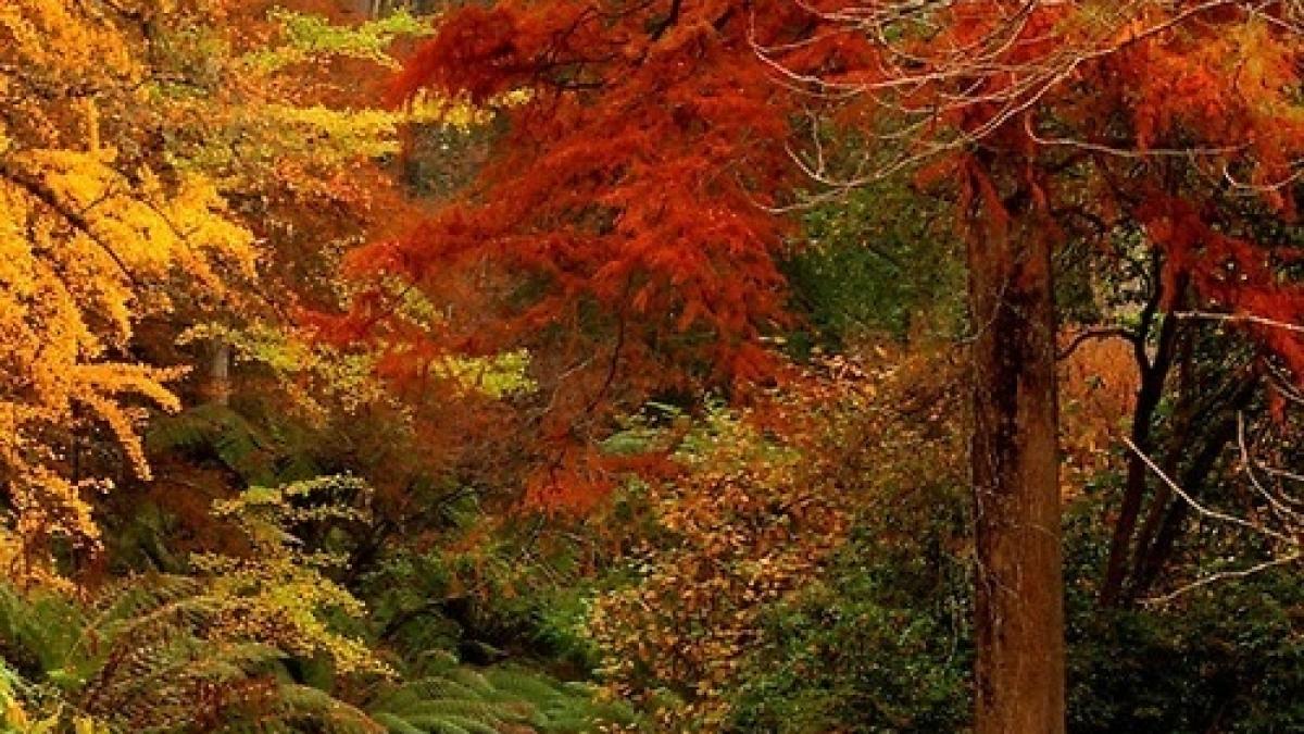 trebuie sa stiti ce se va intampla in acest weekend daca plecati de acasa cand vara si toamna isi