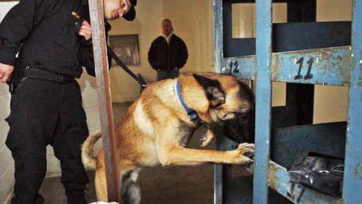 Dogs, drugs hunters after 14 weeks of training