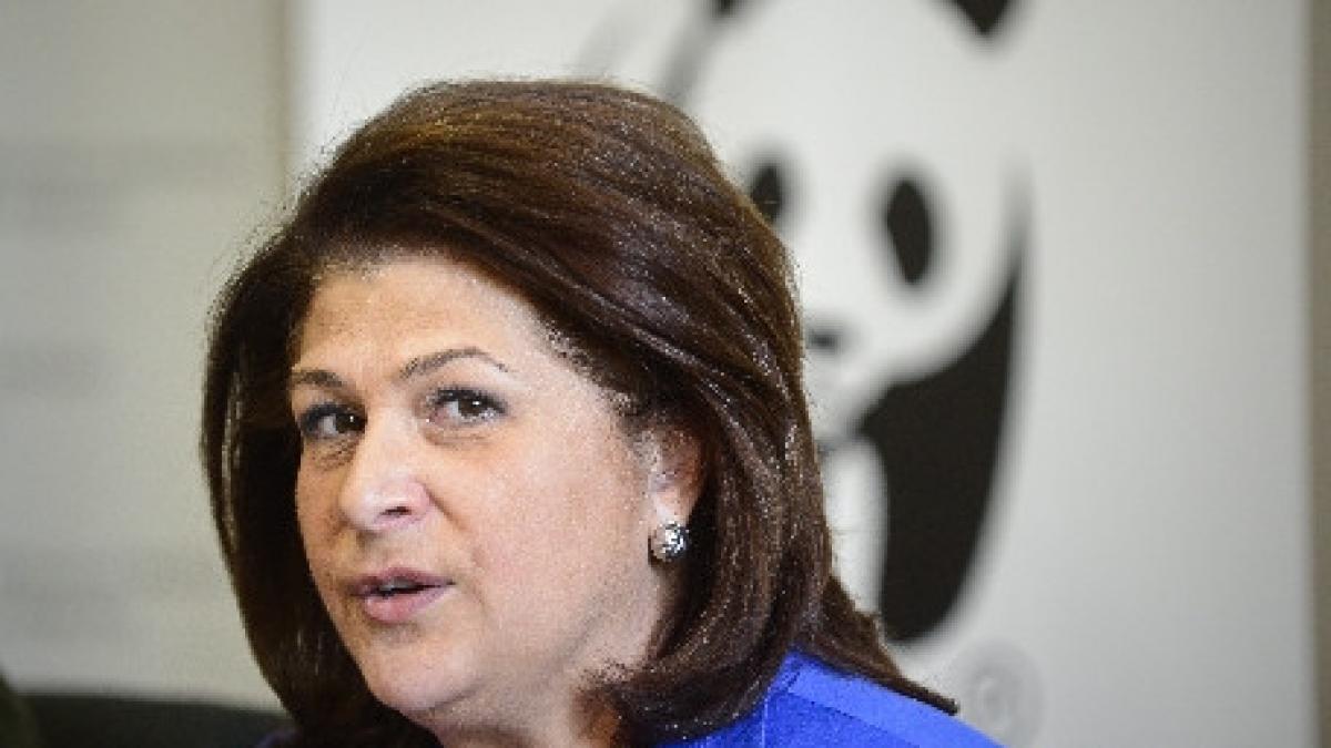 rovana plumb femeia ranita de urs este ruda cu mine