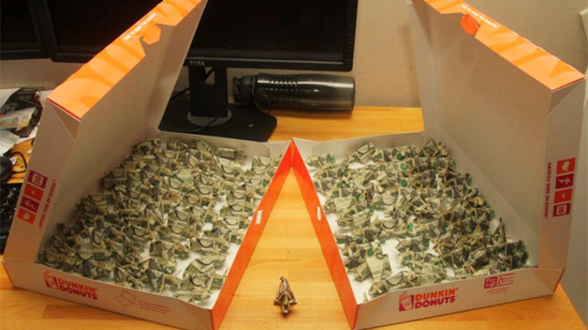 cum s a razbunat un american pentru o amenda primita a platit o cu porci origami