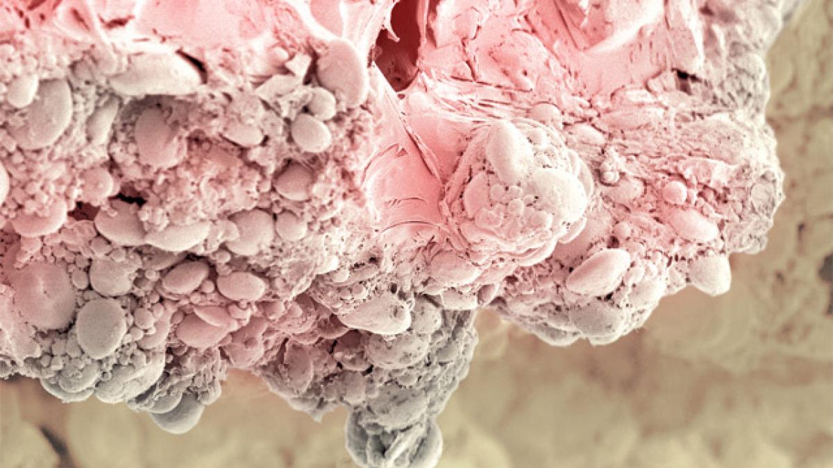 cand mancarea se transforma in arta cum poti sa ti decorezi peretii cu tort de ciocolata sau telina