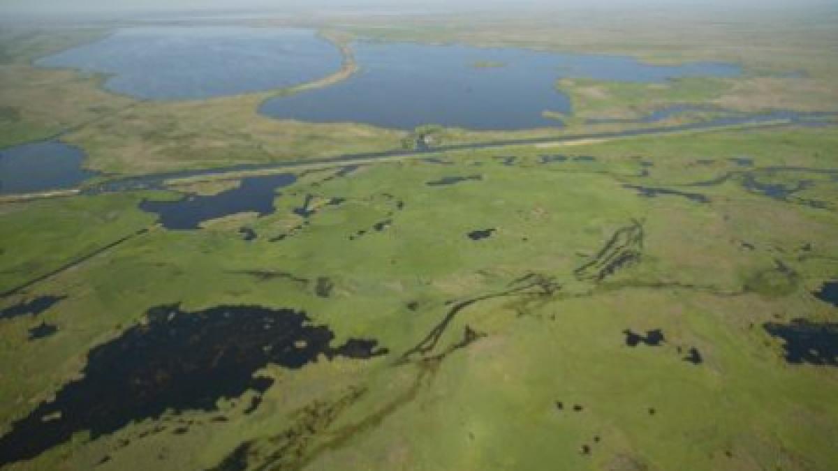 delta dunarii dispare intr o suta de ani cum a ajuns la aceasta concluzie un cercetator roman din