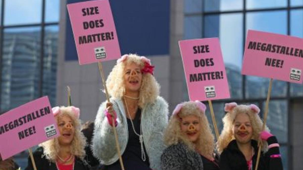 agricultorii din toata europa protesteaza la bruxelles pentru o politica agricola corecta si