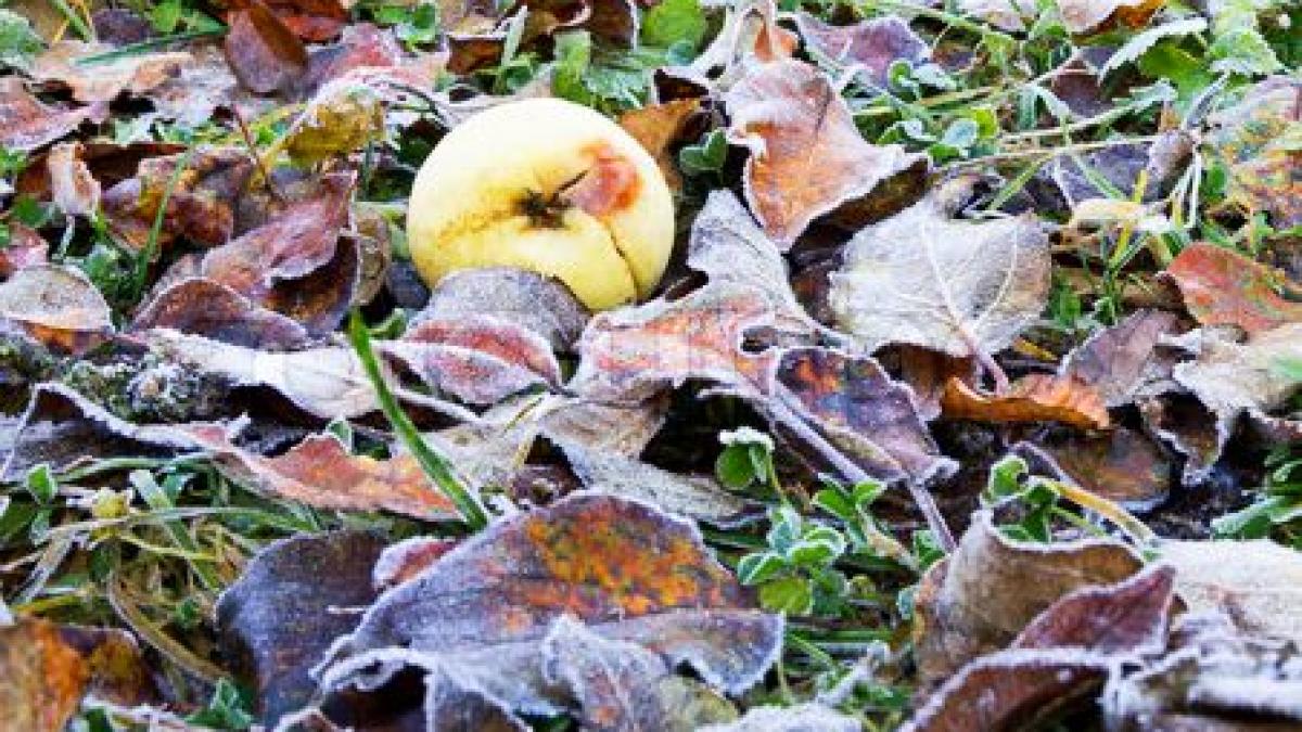 vestea proasta pe care ne o dau meteorologii pregatiti va haine groase pentru restul saptamanii