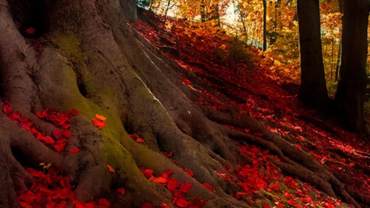 nu va anulati planurile pentru weekend pentru ca meteorologii nu se asteptau la asta ce se intampla