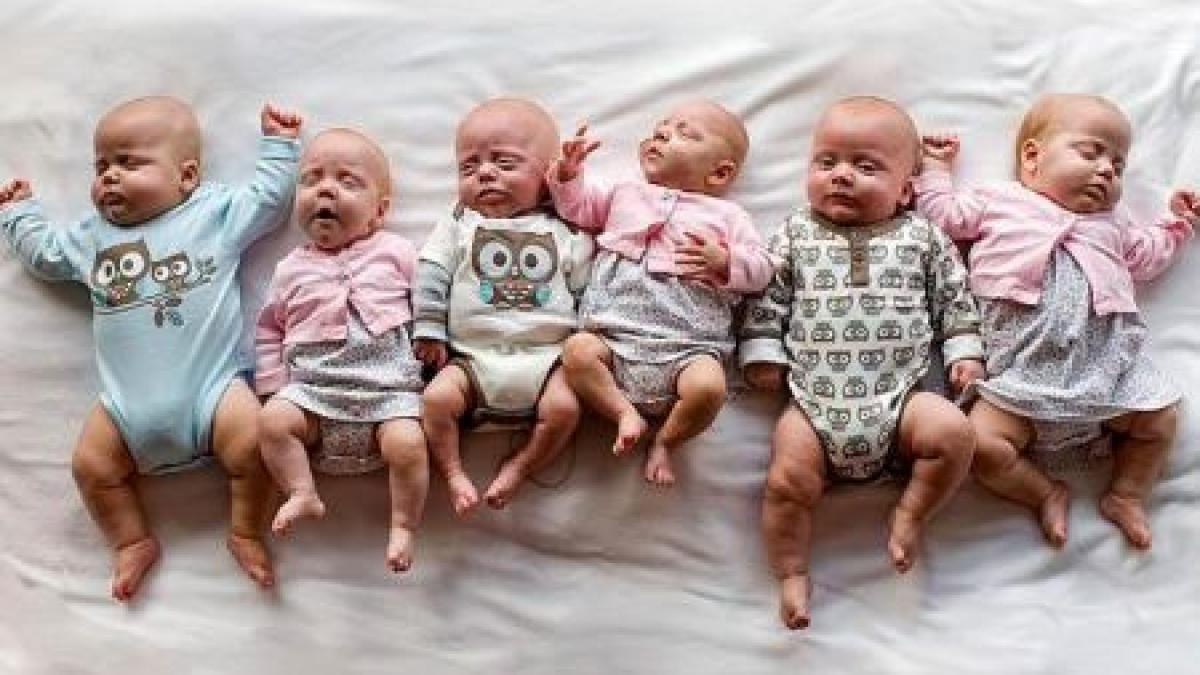 sase suflete dintr un foc final fericit pentru o familie din statele unite