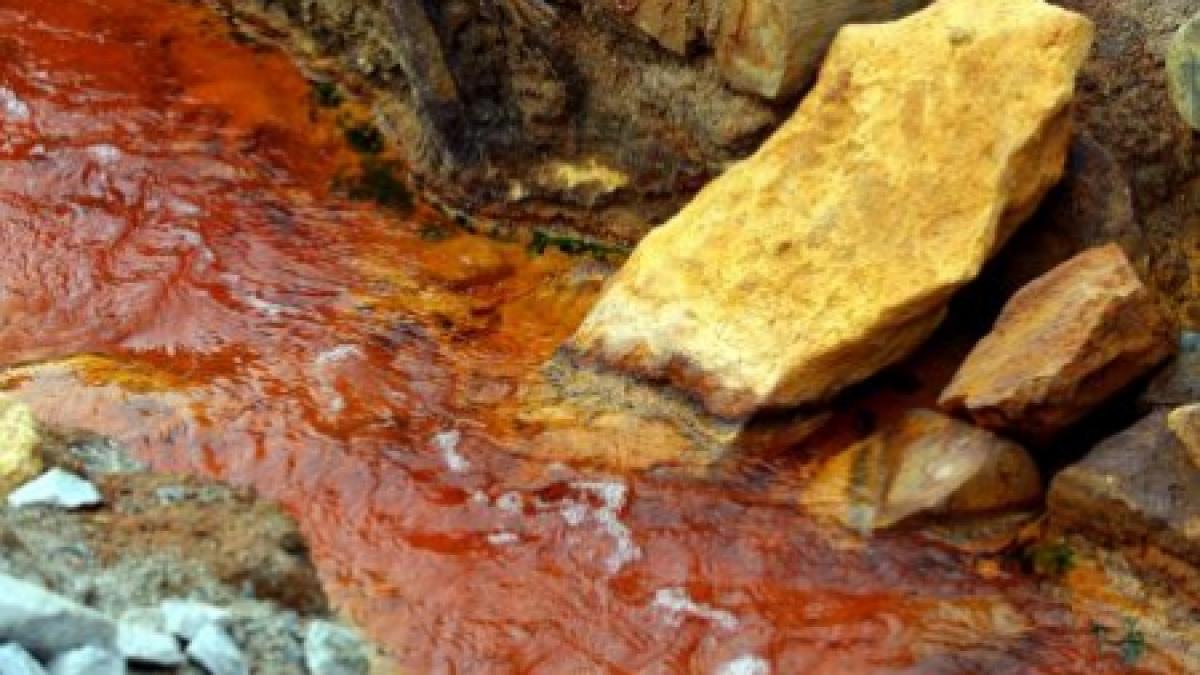 zeci de milioane de euro pentru sanatatea romanilor cum lupta autoritatile cu substanta care poate