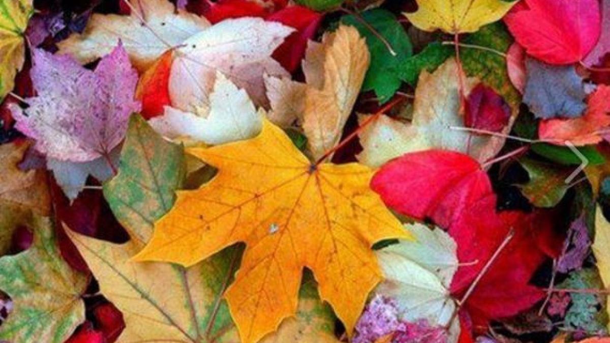 ce surprize ne pregateste vremea in urmatoarele luni prognoza este prezentata de directorul anm