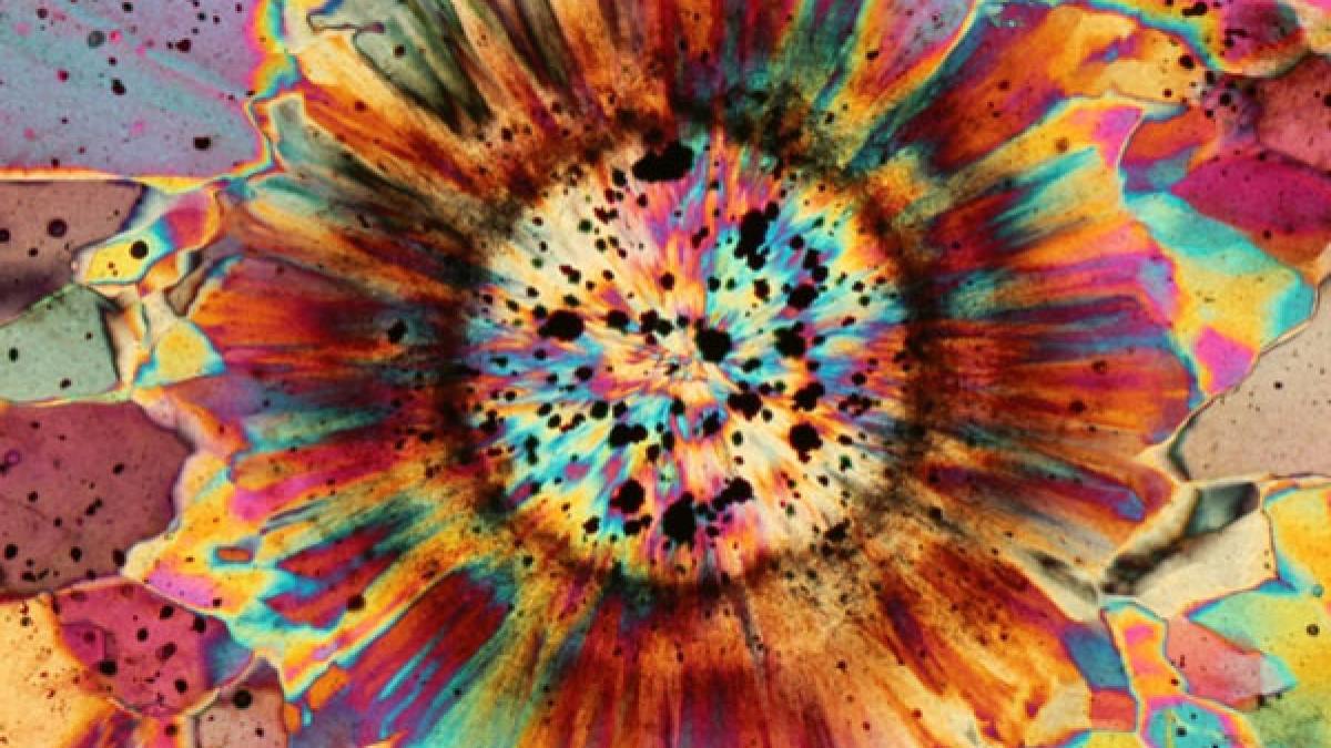 cand pietrele devin arta proiectul care arunca o pata de culoare asupra geologiei