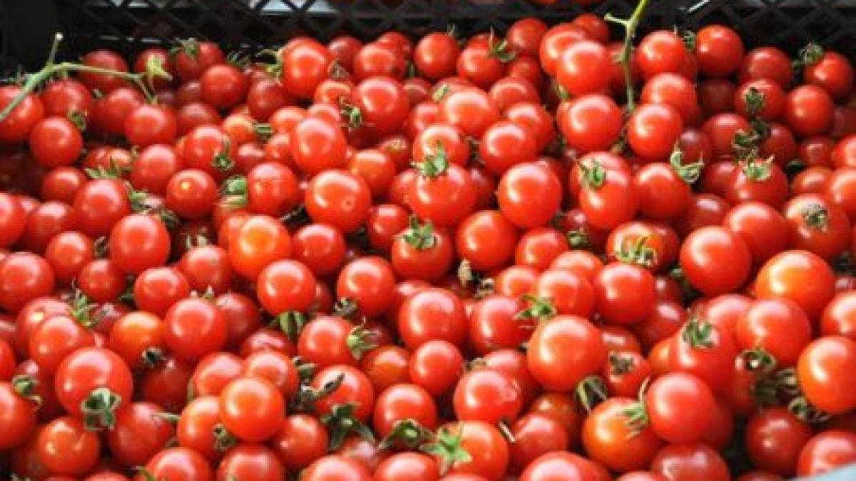 mafia pietelor fura 4 mld euro anual de la stat ce rol joaca politicienii in aceasta retea