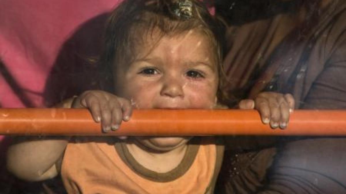 mii de romi din romania si bulgaria au invadat germania cum gestioneaza nemtii problema