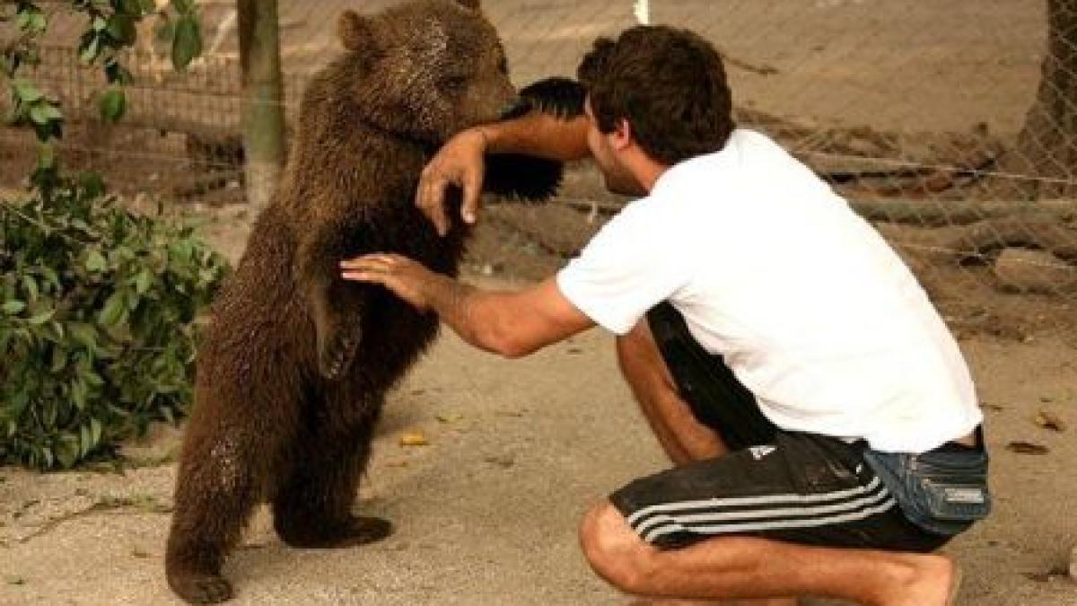 strategie pentru protejarea ursilor nici oamenii nu trebuie sa fie pusi in pericol dar nici