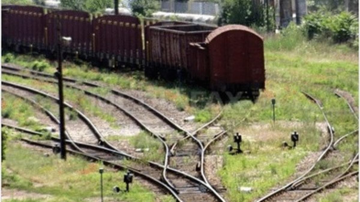 o noua companie este scoasa la licitatie care sunt conditiile privatizarii ale cfr marfa