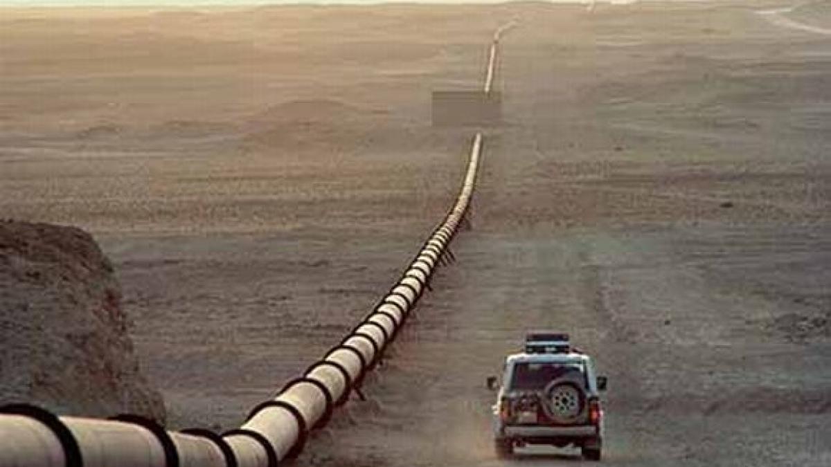 viitorul rusiei nu depinde de petrol ci de grau