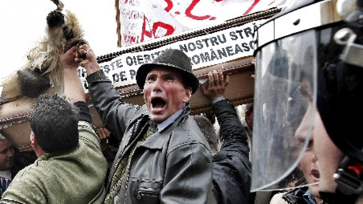 fermierii ameninta cu proteste nemultumiti de valoarea subventiilor pentru 2013