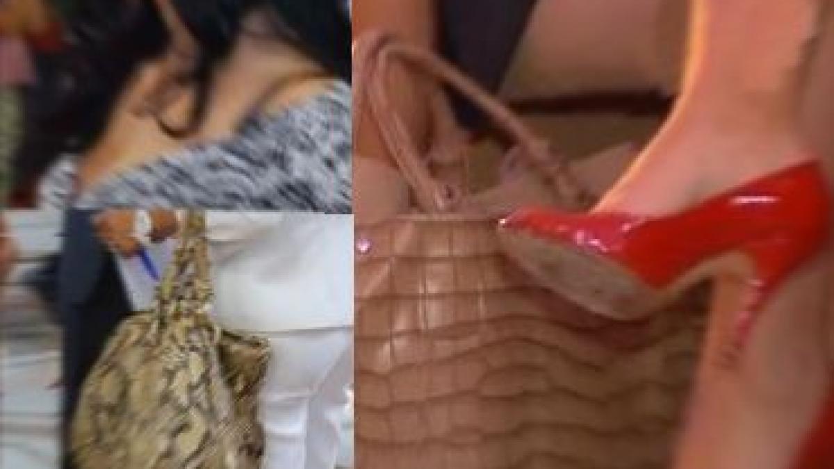 alianta contrastelor novicii in ale politicii au defilat ca pe covorul rosu la marea lansare a a r d