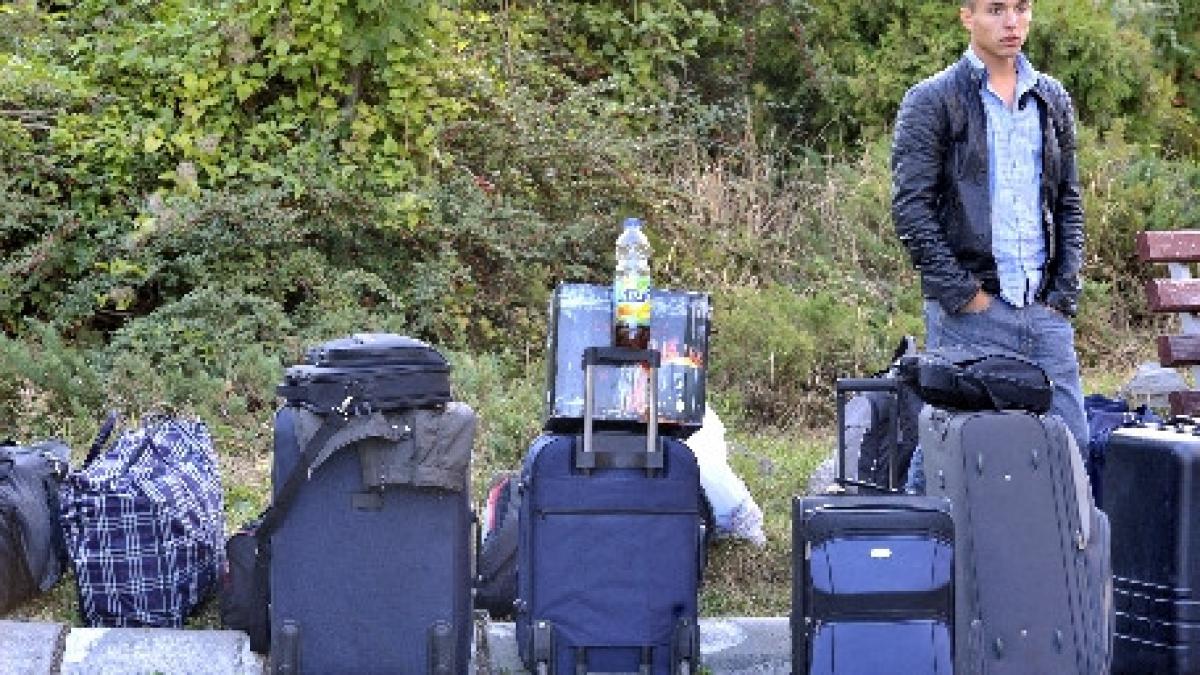 incepe facultatea peste 100 de institutii de invatamant superior isi deschid portile luni