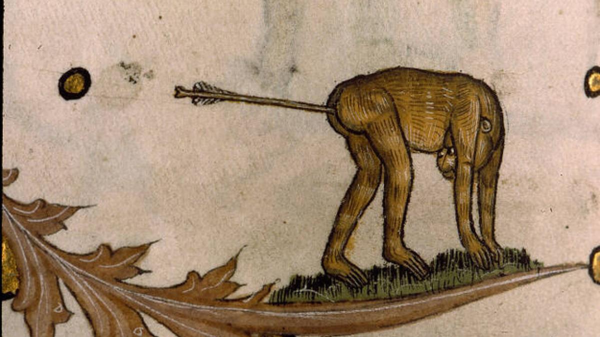 gravuri obscene din timpul evului mediu imagini socante