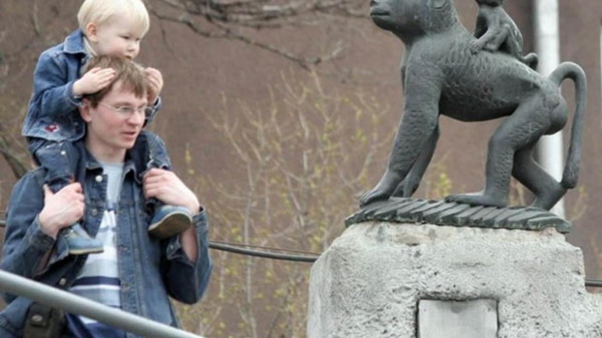 sa mai si zambim un pic imaginile care te vor face pentru un moment sa uiti de griji