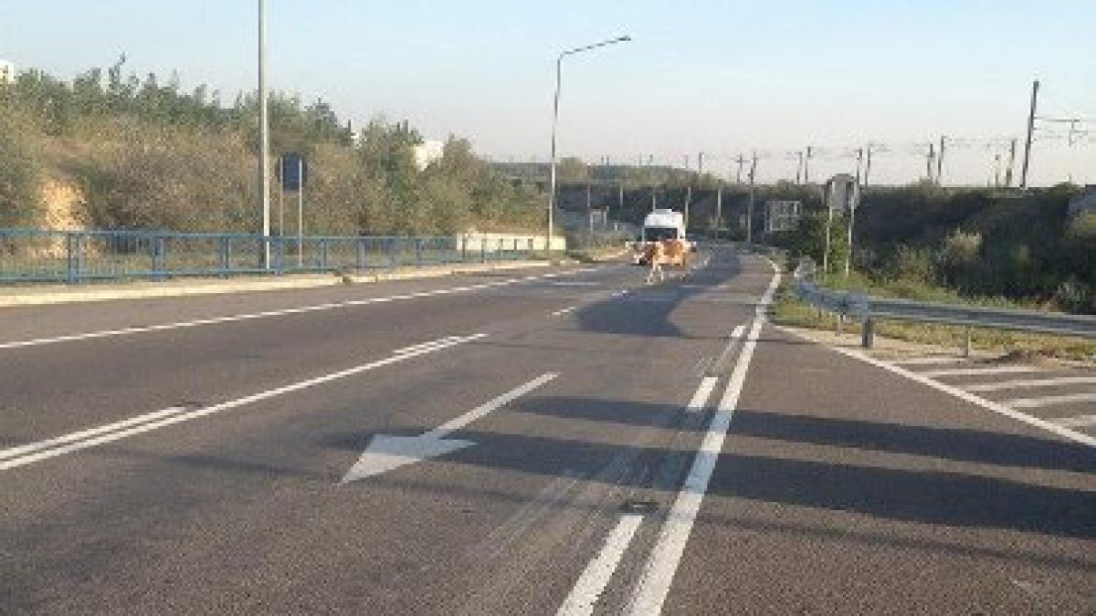 unde si cum si a petrecut elena udrea weekend ul