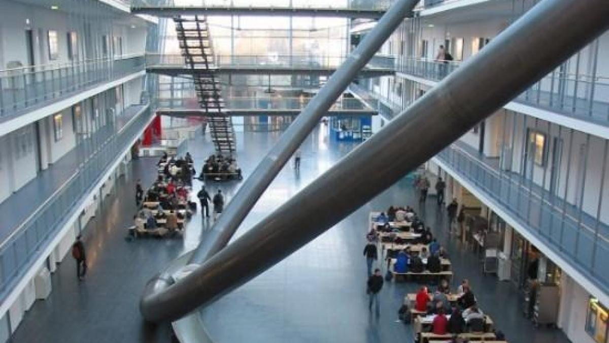 5 motive neobisnuite pentru a studia in strainatate