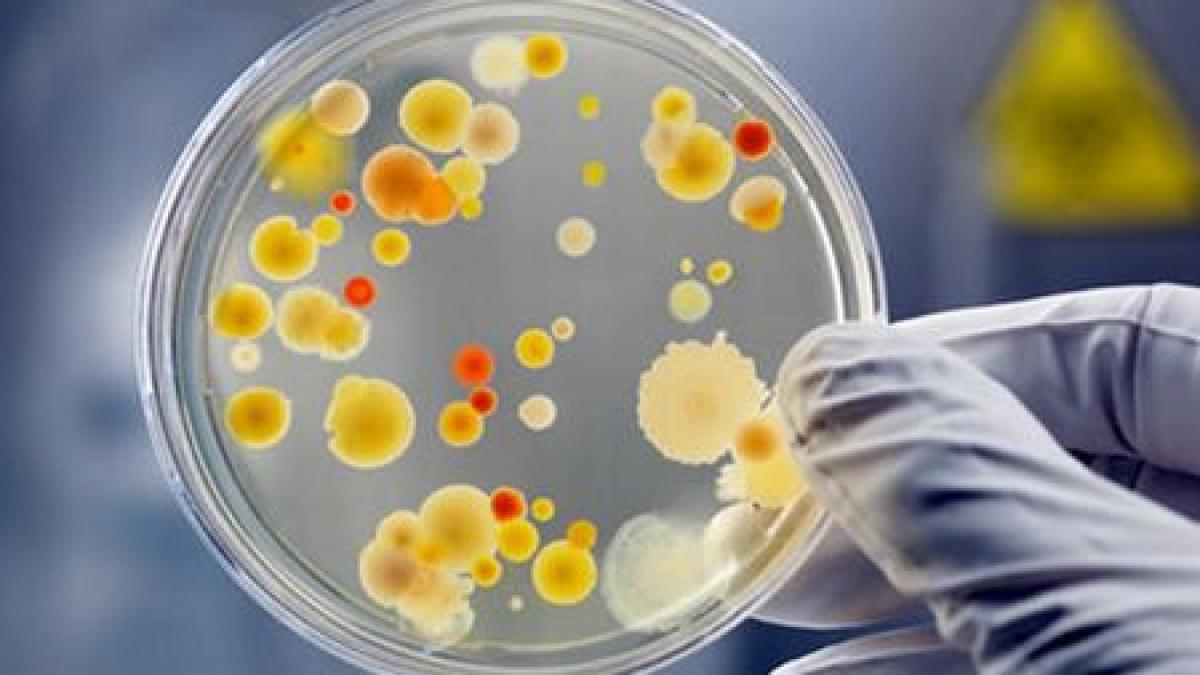 medicamentul care ar putea salva vietile a milioane de oameni noul antibiotic distruge cele mai