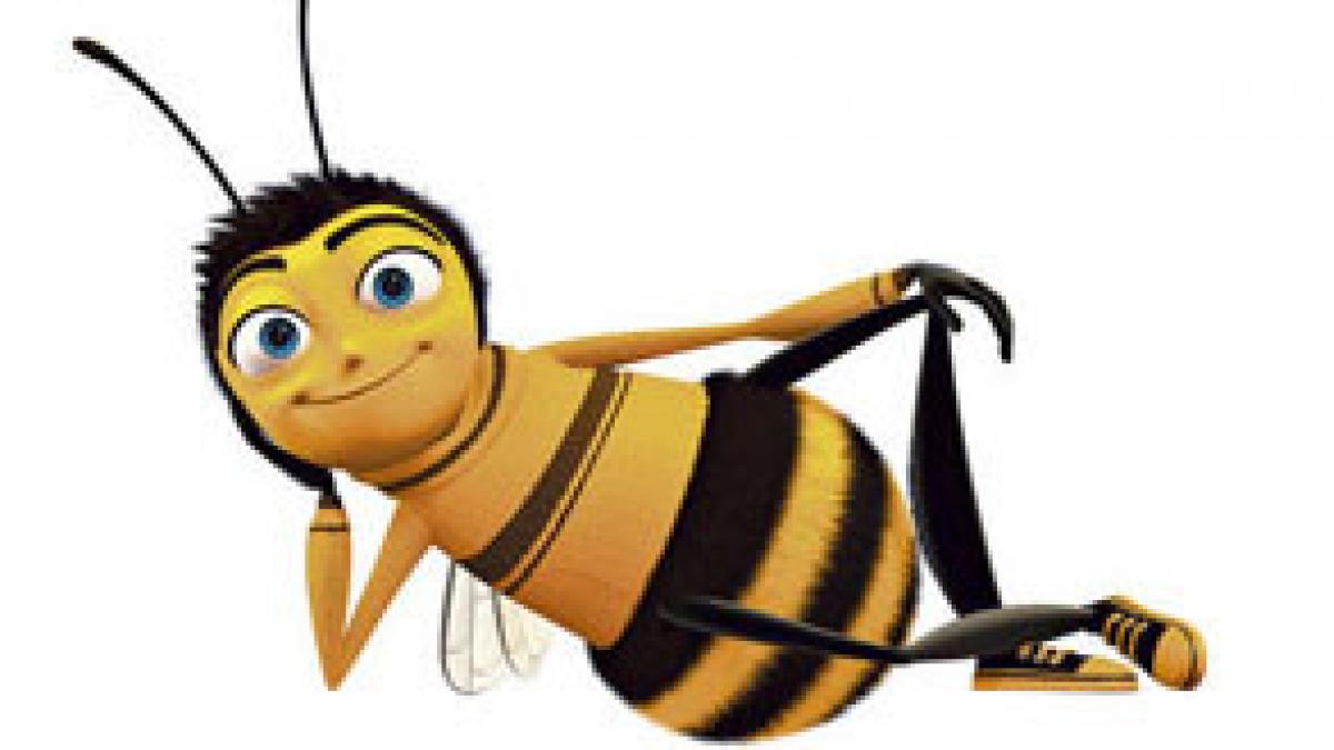 timisoara un avion a decolat cu intarziere dupa ce o pasagera a fost intepata de o albina