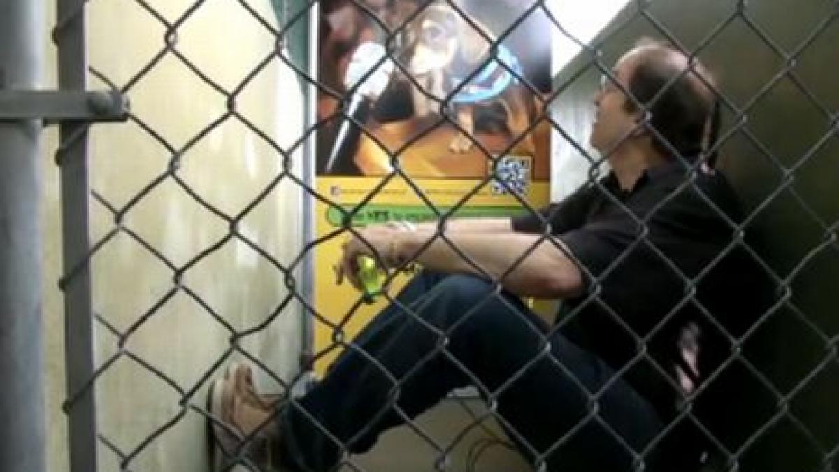 voi locui intr o cusca aici exact ca un caine cum militeaza un american pentru drepturile animalelor