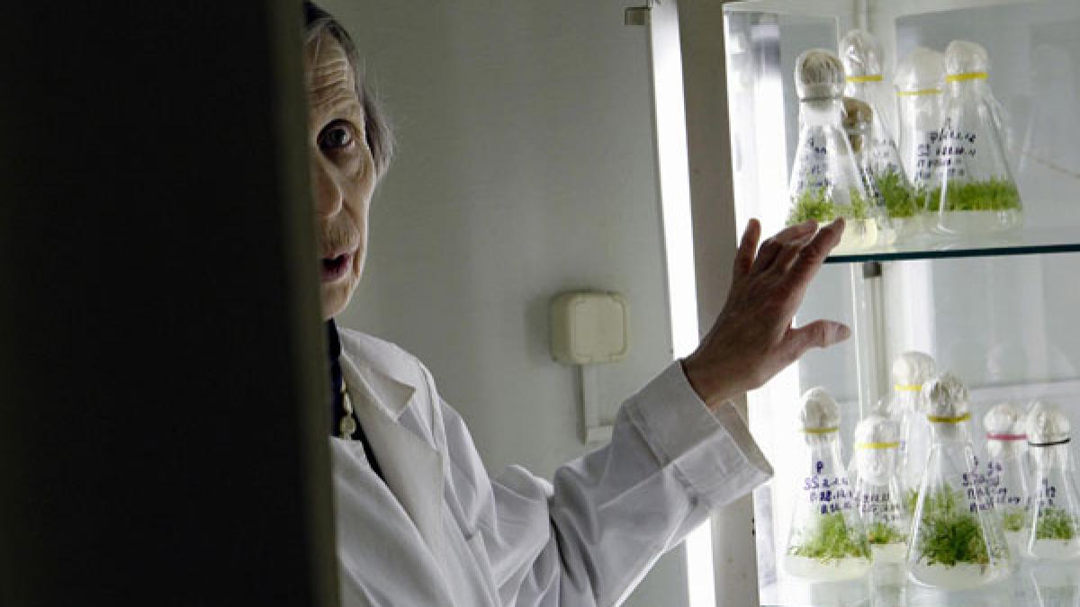 a fost readusa la viata dupa 32 000 de ani descoperirea uluitoare din siberia pe care rusii au