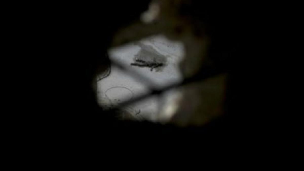 conflictul din siria s a soldat cu peste 32 000 de morti in aproape 19 luni