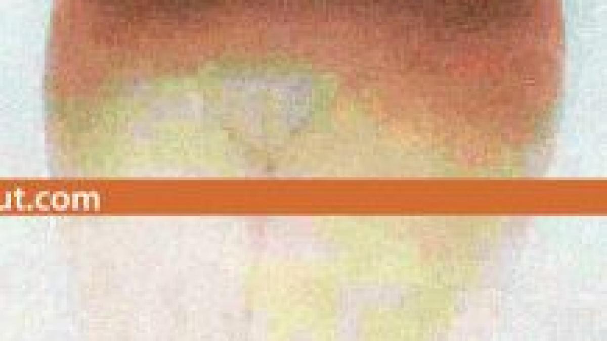 e una din cele mai bune voci ale lumii dar imaginea asta ii va vinde toate albumele cum s a