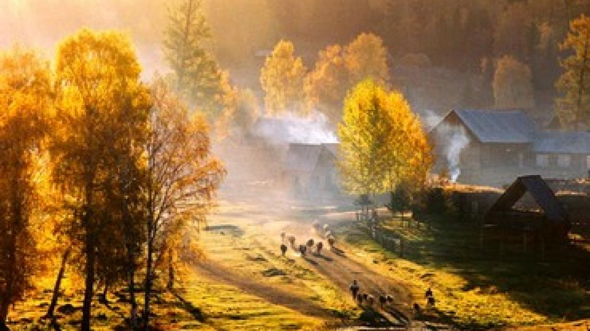 fenomenul extrem de rar care s a petrecut in gradinile romanilor oamenii au ramas uluiti cand au