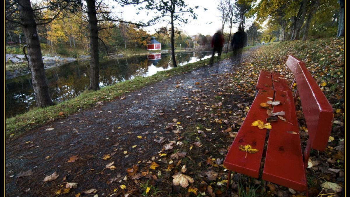 intreaga romanie a fost cuprinsa de asta iar mii de oameni au fost luati prin surprindere ce se va