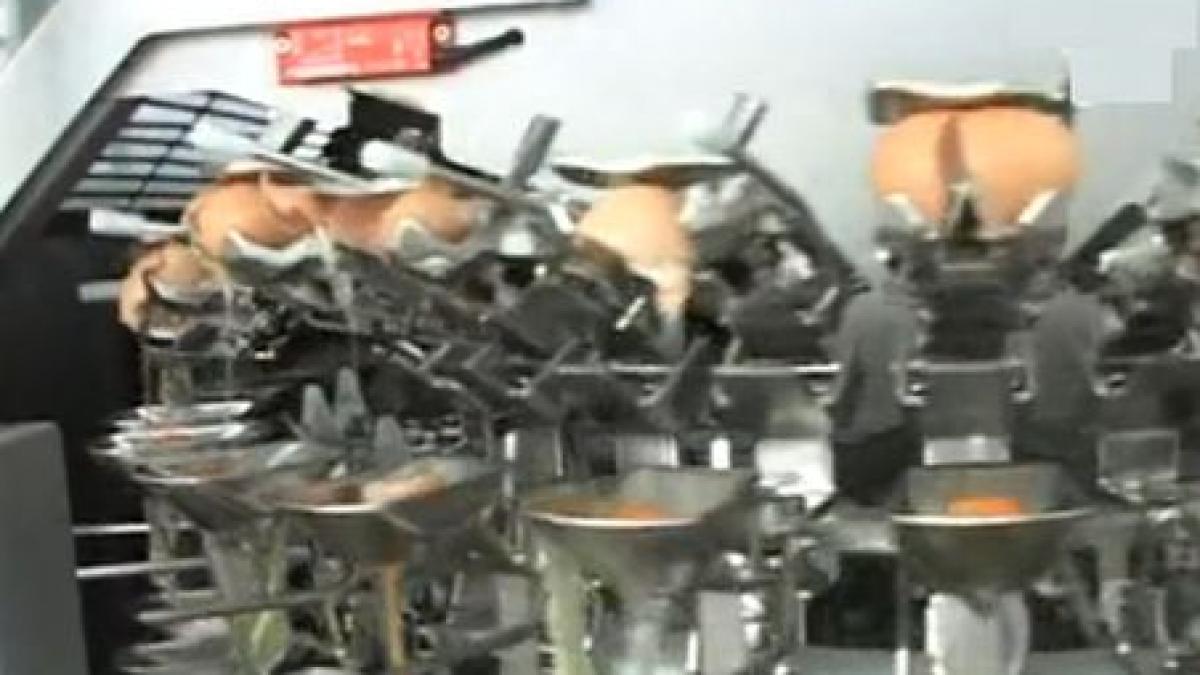 afacere cu oua la punga un roman a deschis o fabrica de spart oua