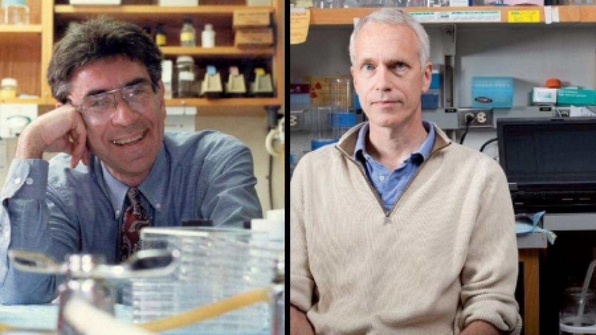 US scientists win chemistry Nobel prize