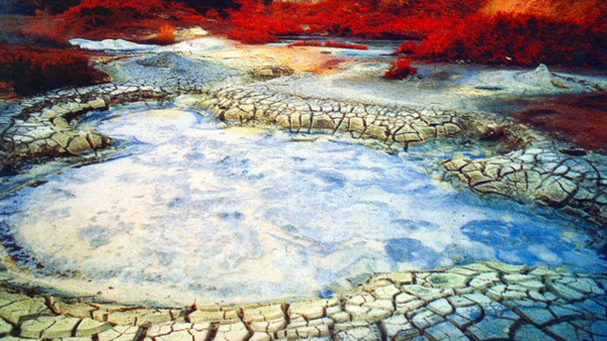 declaratia cercetatorilor care a uimit lumea in rusia se afla leaganul vietii pe ce se bazeaza cand