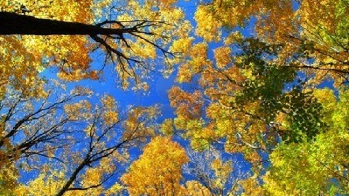 cum va fi vremea pana pe 29 octombrie vezi prognoza meteo