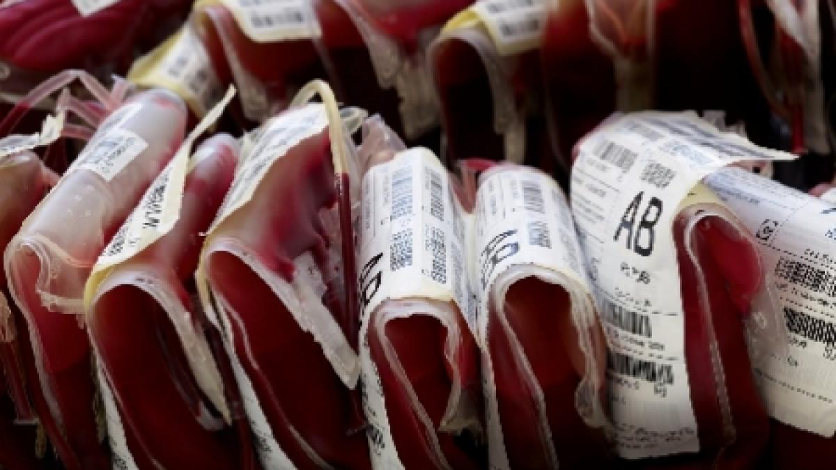 panica in rusia pungi cu sange infectat cu hepatita si sifilis furate