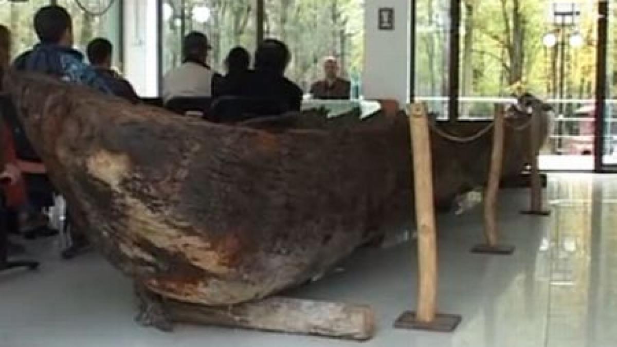 ce descoperire importanta au facut arheologii in albia muresului