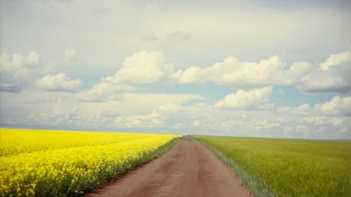 imaginile care iti taie rasuflarea spun mai mult decat 1000 de cuvinte