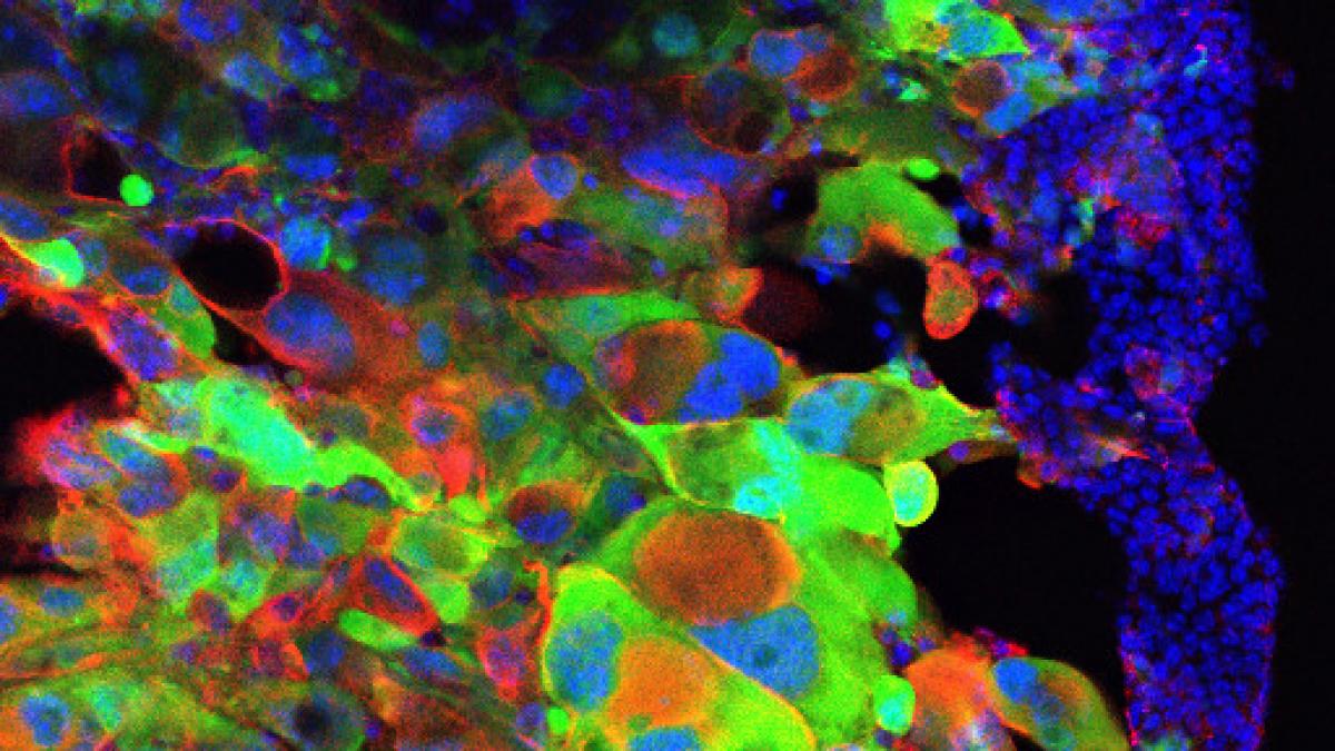 descoperire revolutionara cercetatorii nu o pot explica