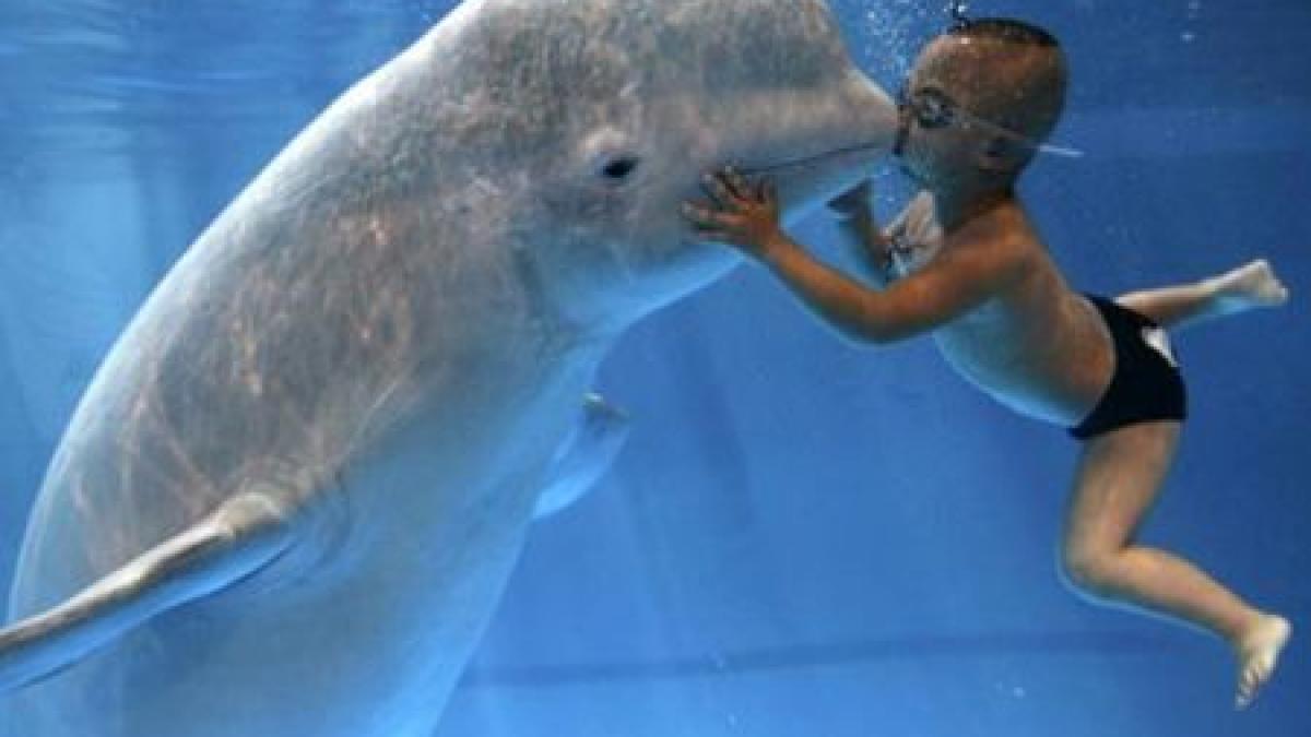 descoperirea care i a impresionat chiar si pe oamenii de stiinta ascultati prima balena care imita