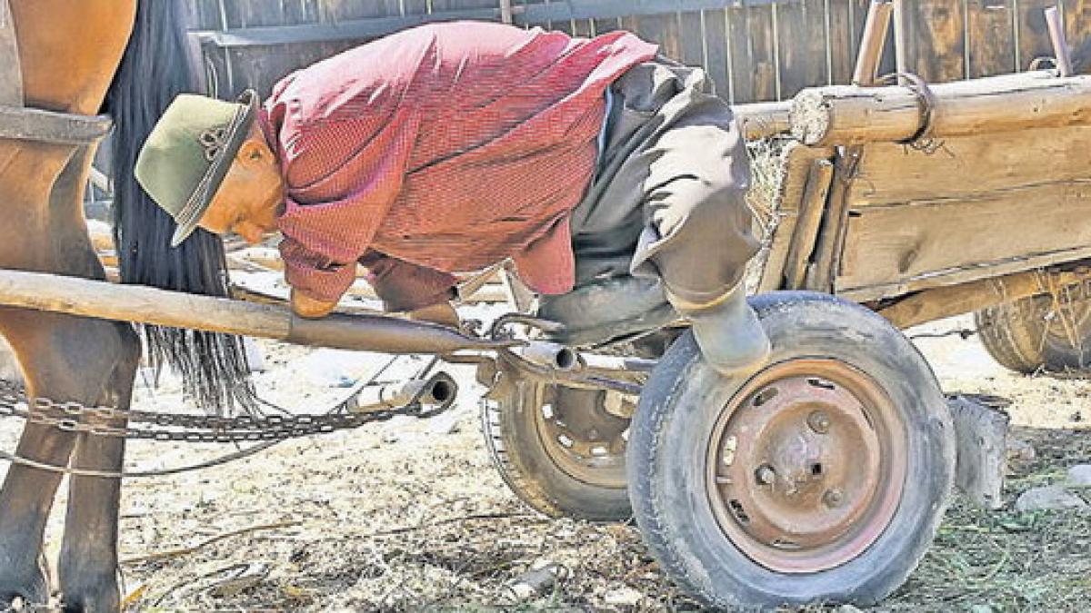 nu are maini sau picioare dar este un exemplu in satul lui primeste 290 de lei pensie de handicap