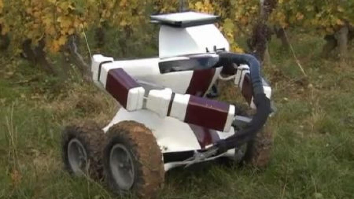 nu se plange cand trebuie sa stea peste program si nu si doreste marire de salariu robotul care ar