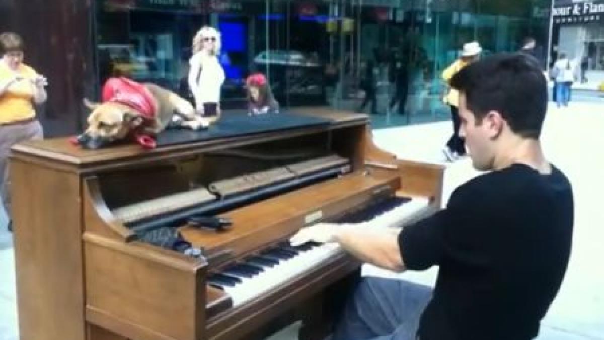 omul care a infruntat prejudecatile si a castigat intr o america lovita de criza castiga bani