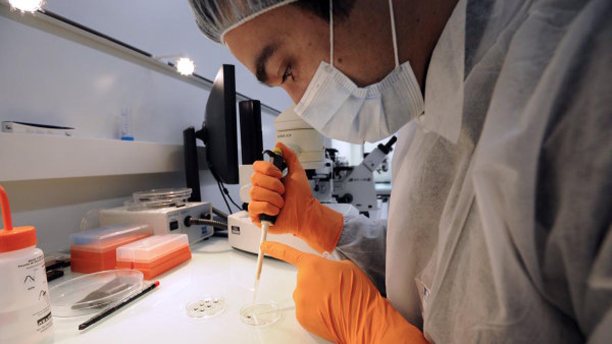 embrion uman creat din 3 parinti care sunt beneficiile acestei descoperiri uluitoare