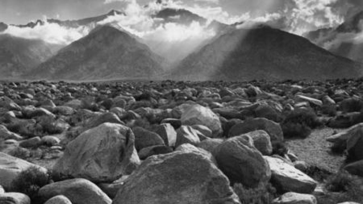 pentru prima oara stiu ce e dragostea ce sunt prietenii si ce ar trebui sa fie arta