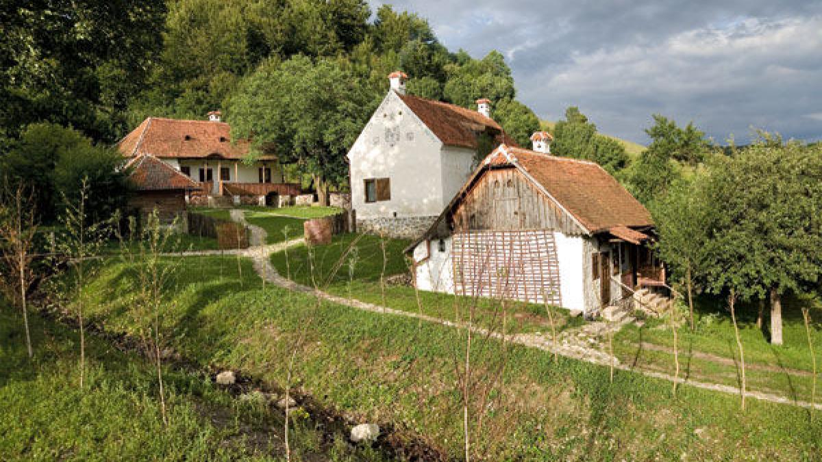 reportajul the telegraph printul charles al transilvaniei este cel mai fascinant loc din europa