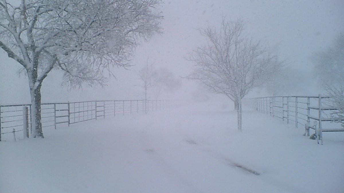 vantul a batut cu 100 de km h iar oamenii au inmarmurit cand au vazut furtuna de zapada vremea a