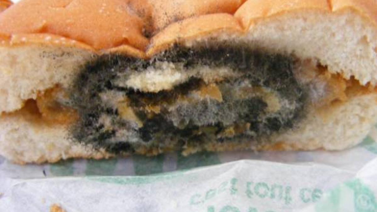 asta trebuia sa manance copiii 400 de cornuri roase de soareci si pline de mucegai